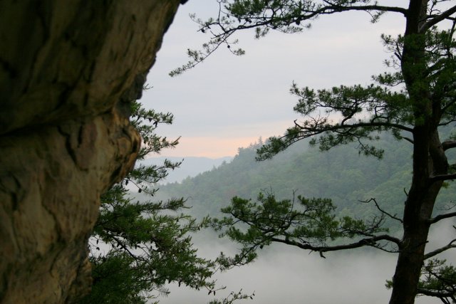 Foggy morning