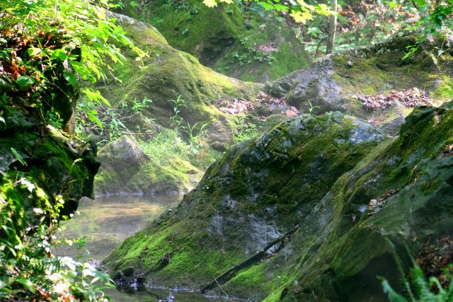 Stream