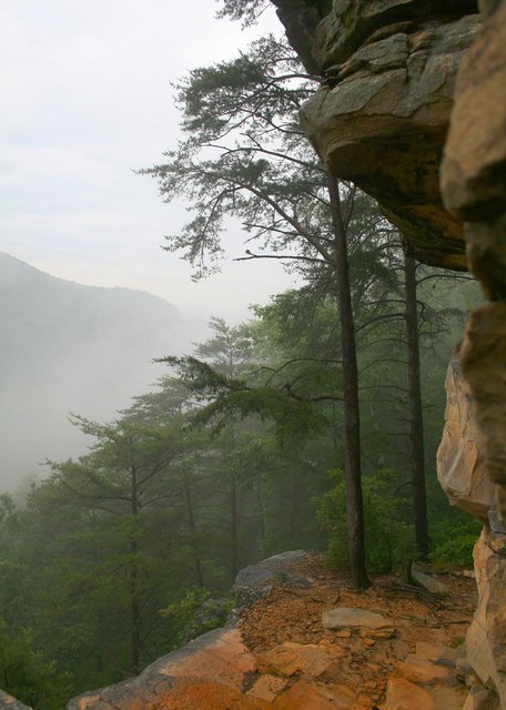 Foggy Mountainside