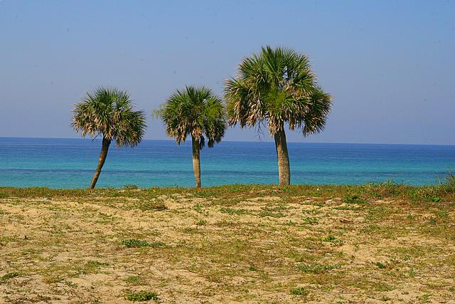 Ocean View