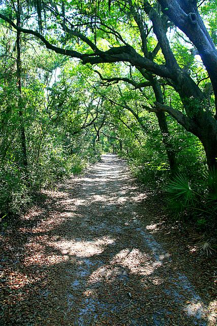 Old Trail