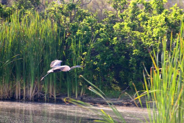 In Flight