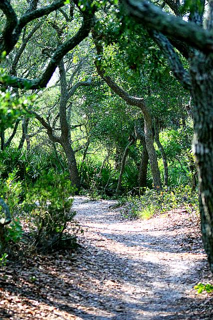 Trail 3
