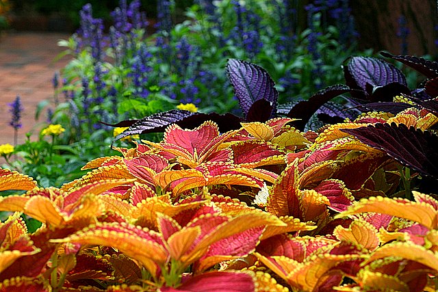 Texture and color