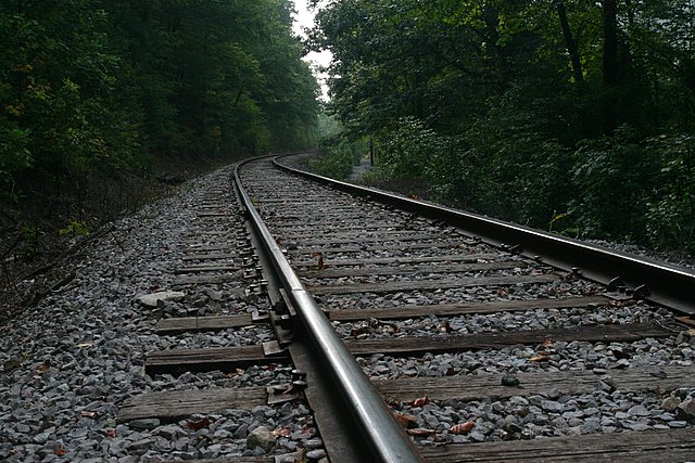 Tracks