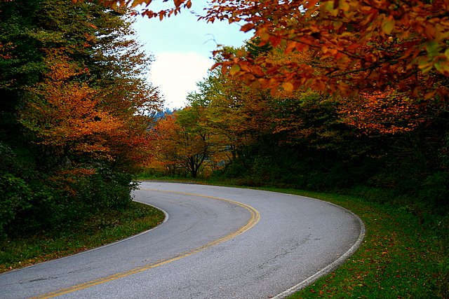 Road to Clingmans Dome