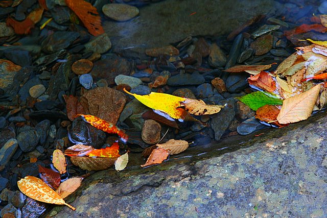 Stream Colors