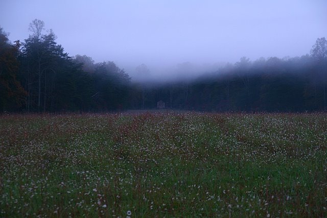 Cades Cove Cabin