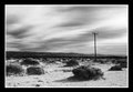telephone pole
