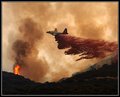 Fire Retardant