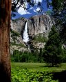 Yosemite Falls crop