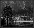 Leidig Meadow in Spring
