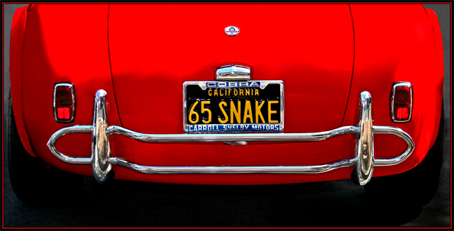 Cobra