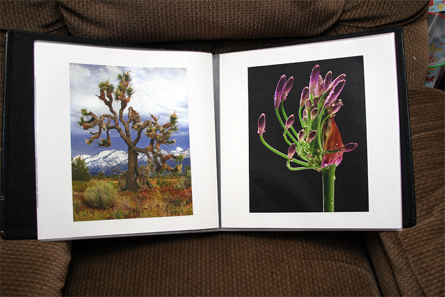 Portfolio8x10.jpg