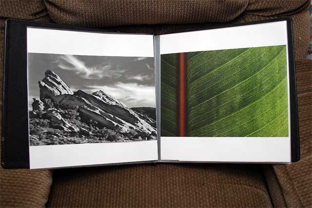 Portfolio8x12.jpg