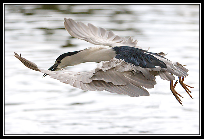 Heron2