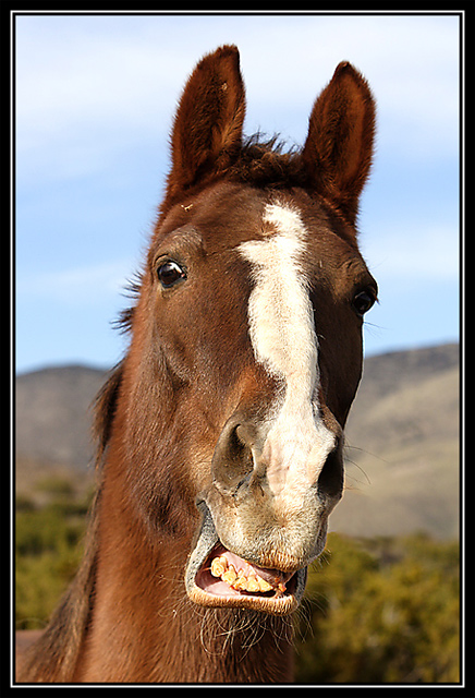 Say cheese!