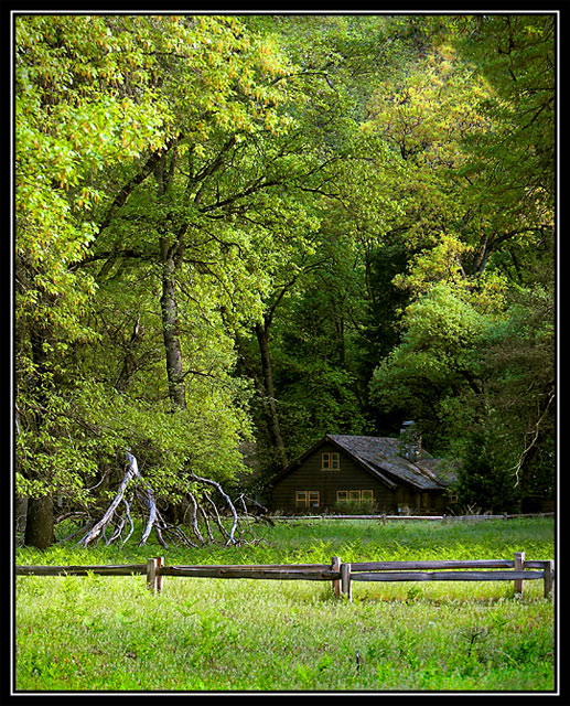Cabin in Spring
