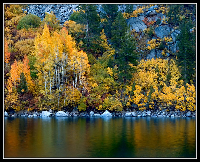 Aspens, Lake Sabrina