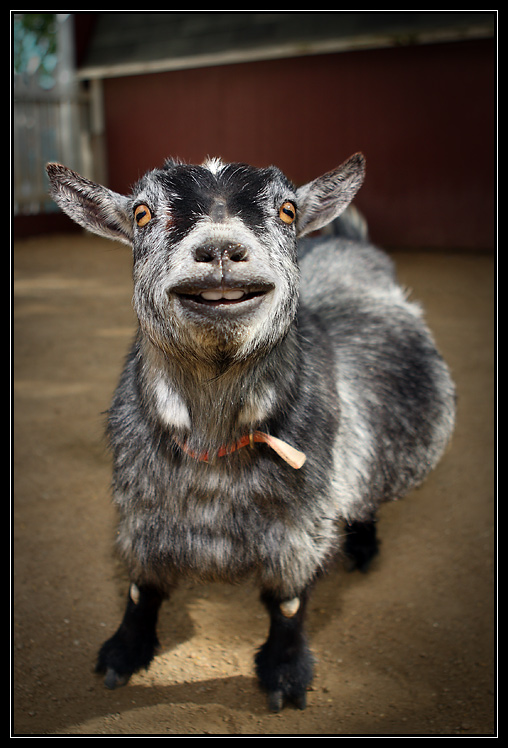 Smile