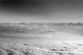 Ansel Alps