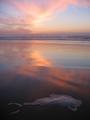 112-1294_IMG.JPG
