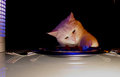poor table manners.jpg