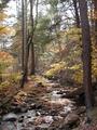 Autumn Creek
