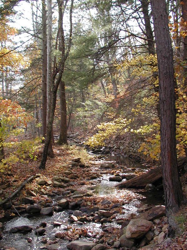 Autumn Creek