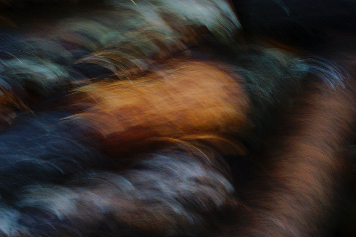 Creative Blur #1