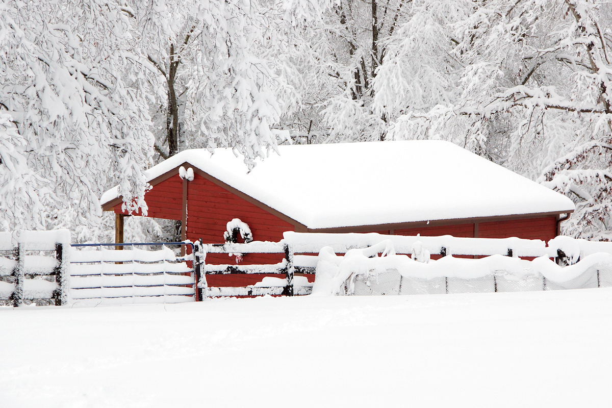 Barn 1