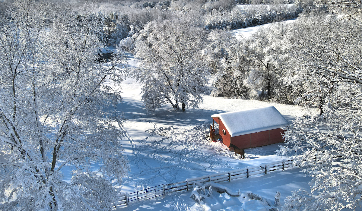 Barn 3