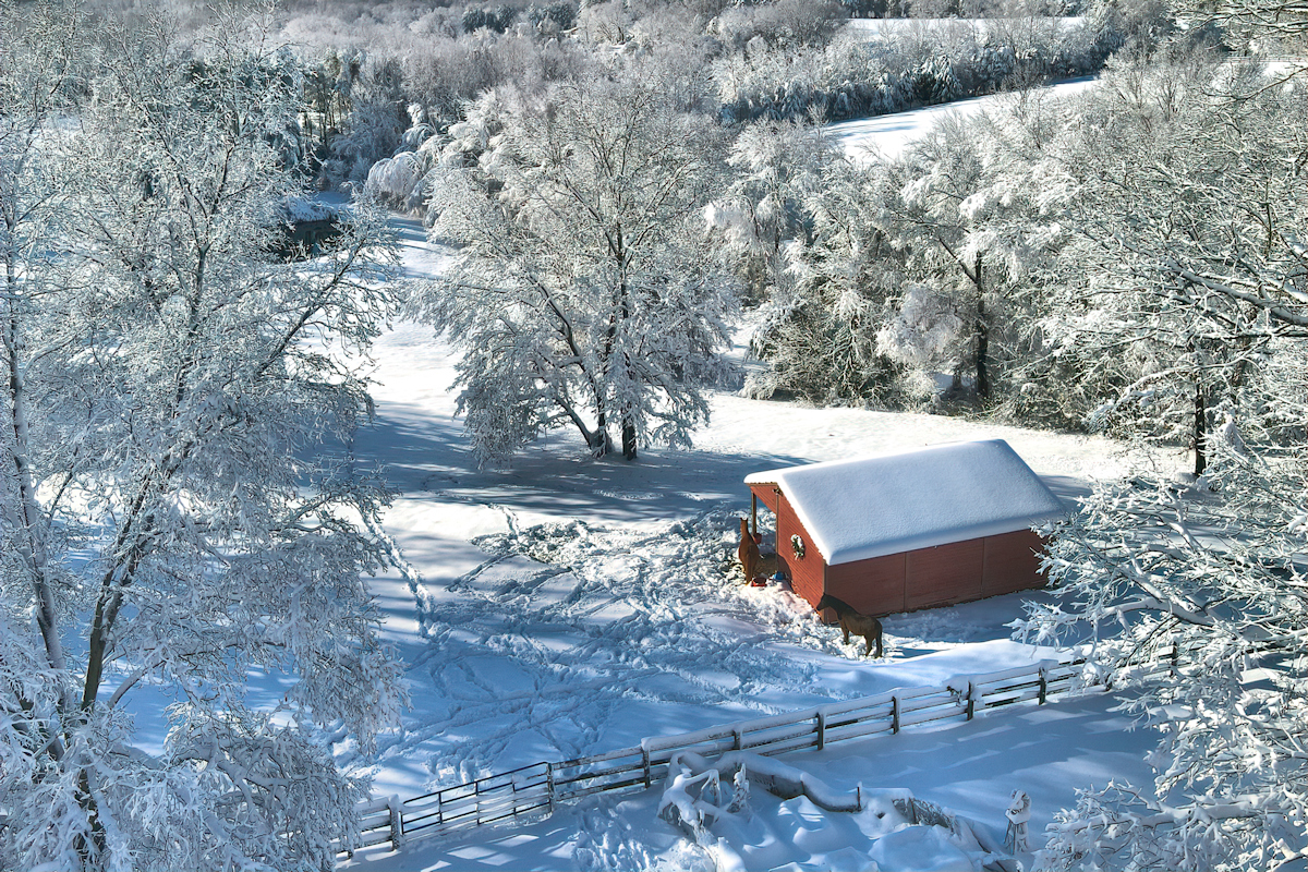 January #2 (Barn)