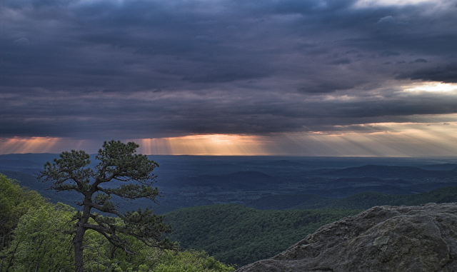 Shenandoah's - morning sentry