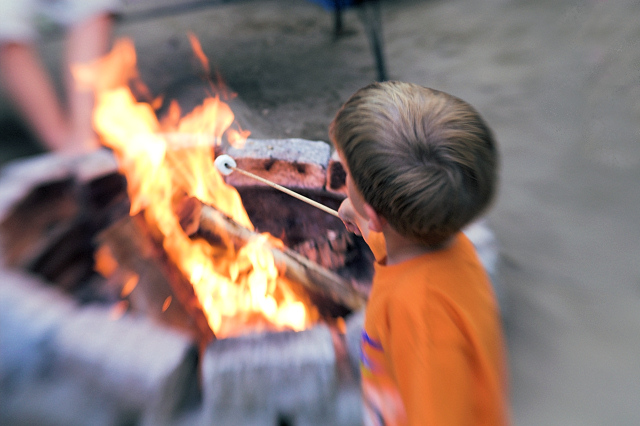 Marshmallow Roast