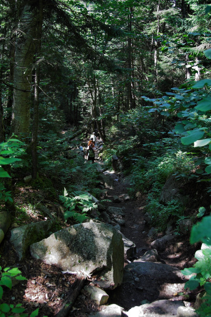 The Trail