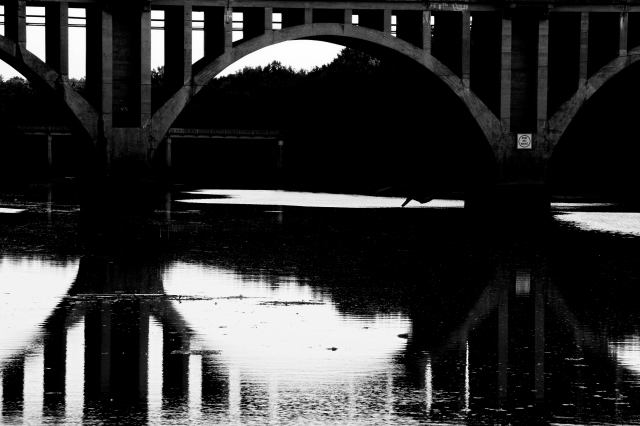 Day 1: Bridge Reflections