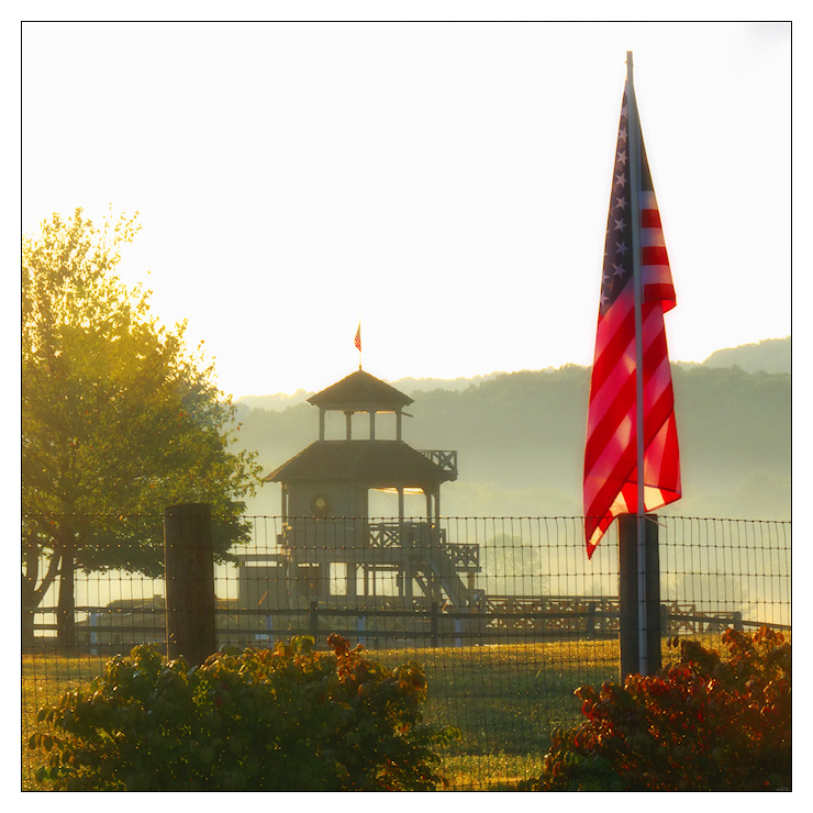 Morning at the polo grounds