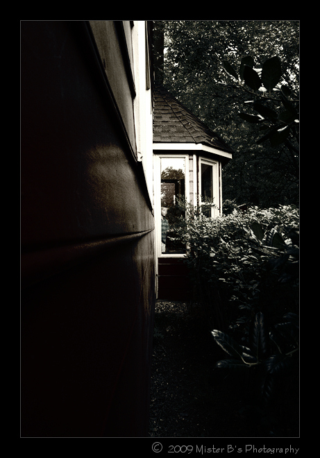 Window Sightings