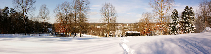 December Snow 2009 Panorma