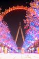 Night Eye