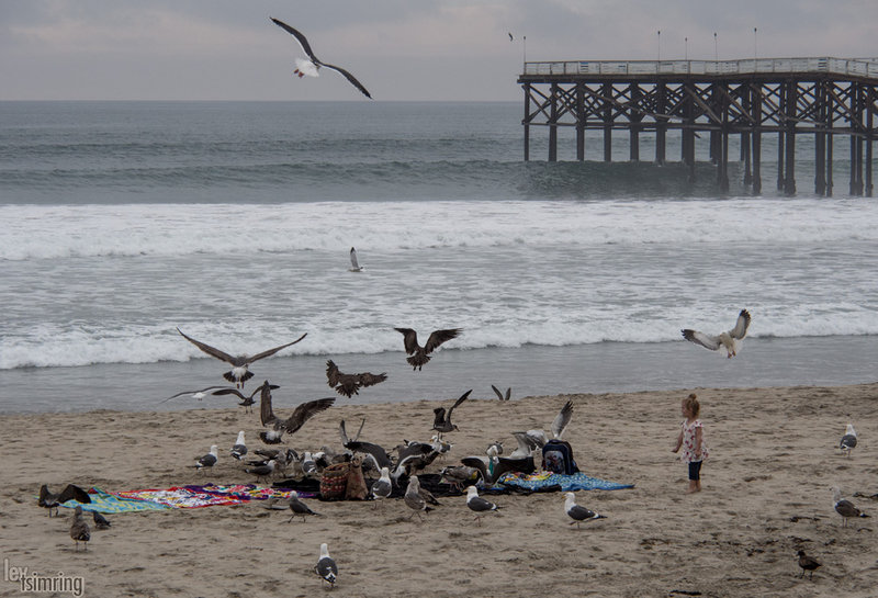 Pacific Beach. Winter. 10