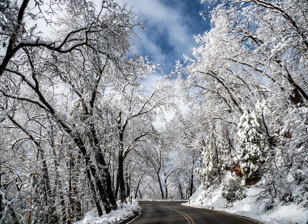 Sequoia National Park (2019)