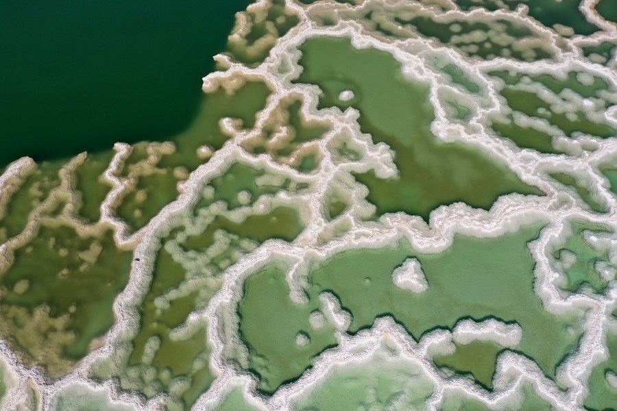 1310029486_16247067182881n
