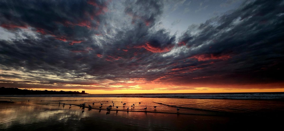 20251122_165158(1)_copy_2000x924