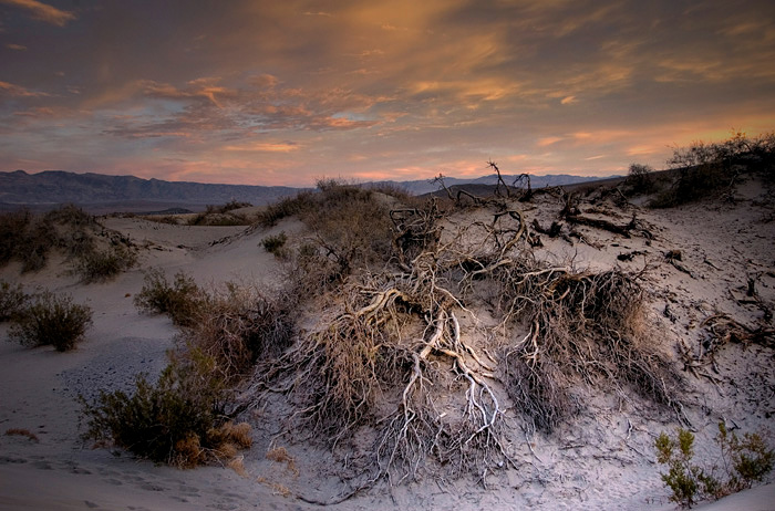 Stovepipe Wells dunes