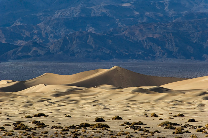 Stovepipe Wells dunes