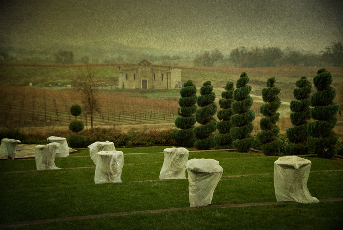 Winery, winter.