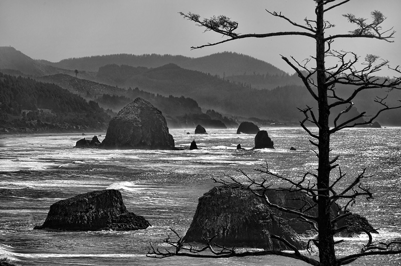 Cannon Beach