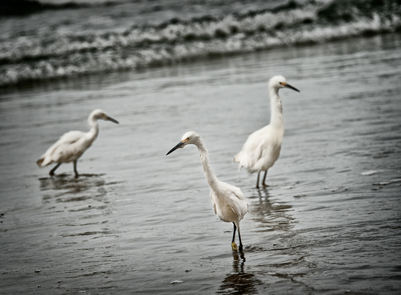 three amigos outtake